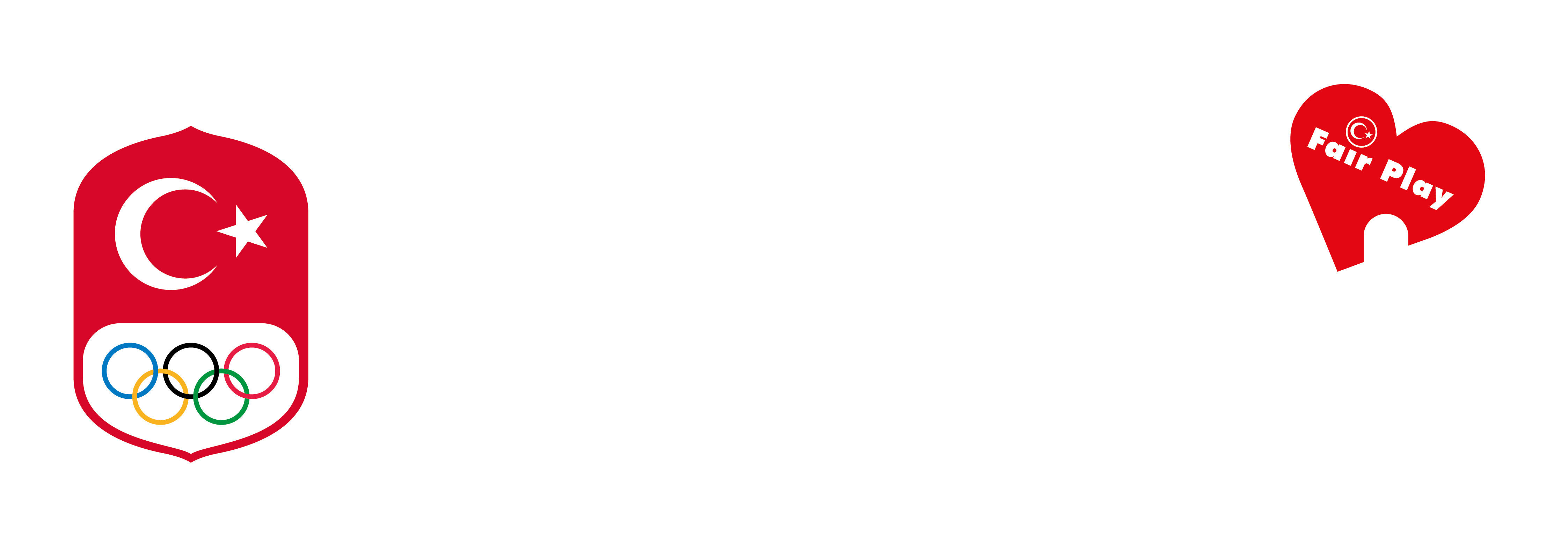 Türkiye Milli Olimpiyat Komitesi